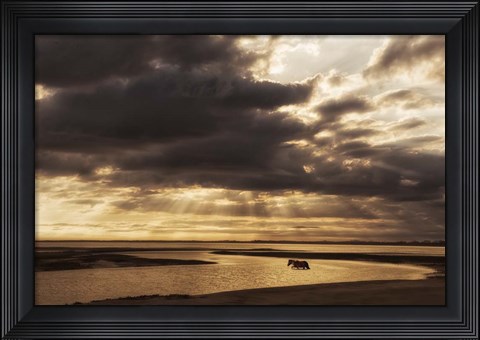 Framed Water &amp; Land IV Print