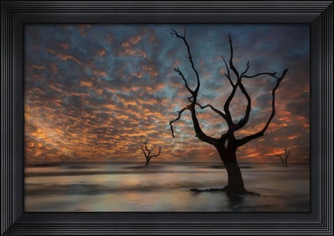 Framed Water &amp; Land V Print