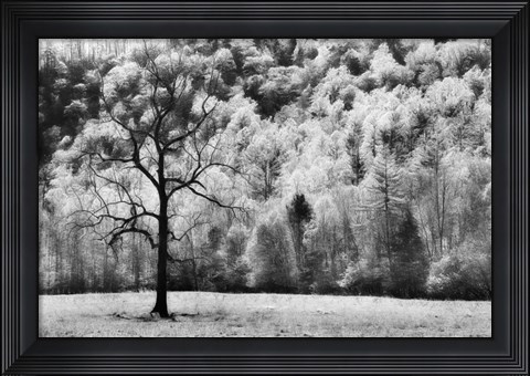 Framed Water &amp; Land VI Print