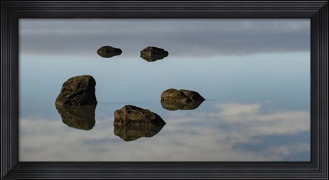 Framed Water &amp; Land VIII Print