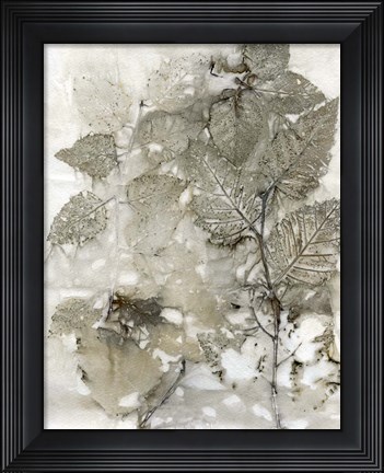 Framed Birch Leaves I Print