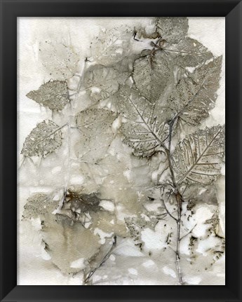 Framed Birch Leaves I Print