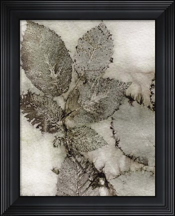 Framed Birch Leaves II Print