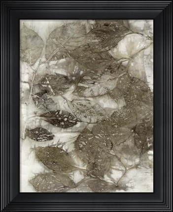 Framed Dogwood Leaves I Print