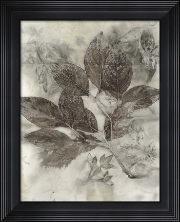 Framed Dogwood Leaves II Print