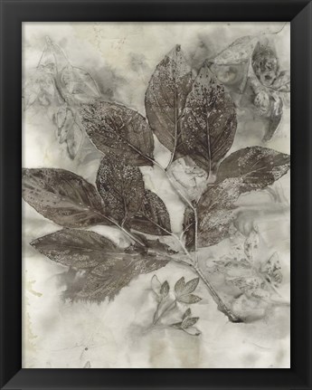 Framed Dogwood Leaves II Print