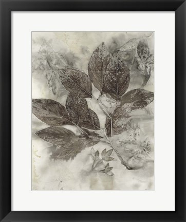 Framed Dogwood Leaves II Print