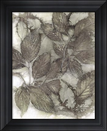 Framed Dogwood Leaves III Print