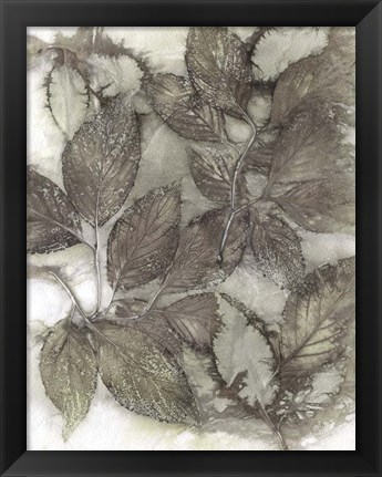 Framed Dogwood Leaves III Print