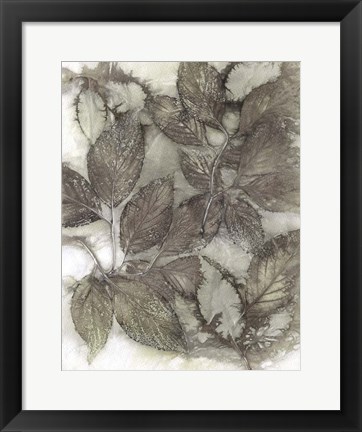 Framed Dogwood Leaves III Print