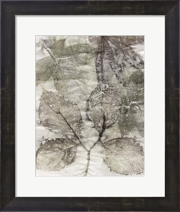 Framed Multi Leaves II Print