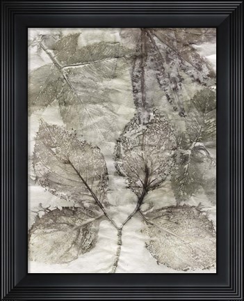 Framed Multi Leaves II Print