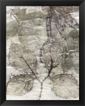 Framed Multi Leaves II Print