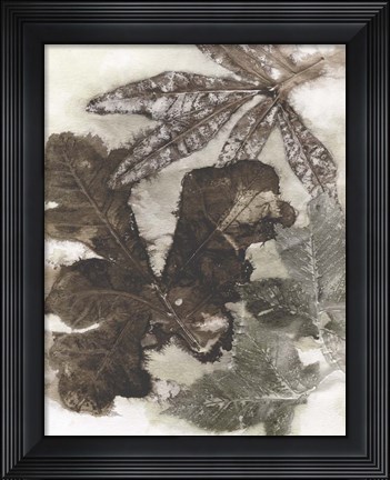 Framed Oak Leaves Print