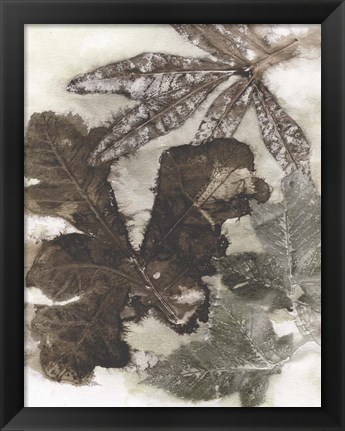 Framed Oak Leaves Print