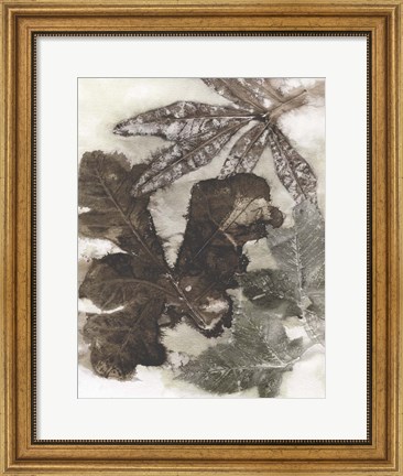 Framed Oak Leaves Print