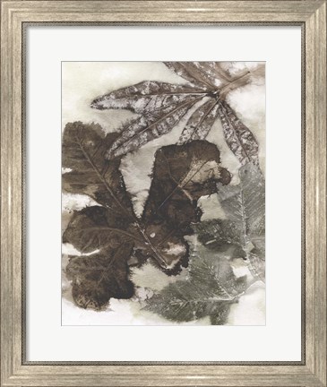 Framed Oak Leaves Print