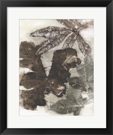 Framed Oak Leaves Print