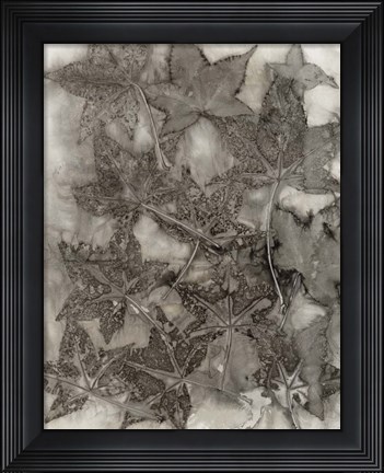 Framed Sweet Gum Leaves Print