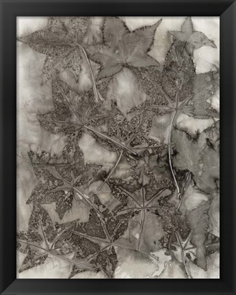 Framed Sweet Gum Leaves Print