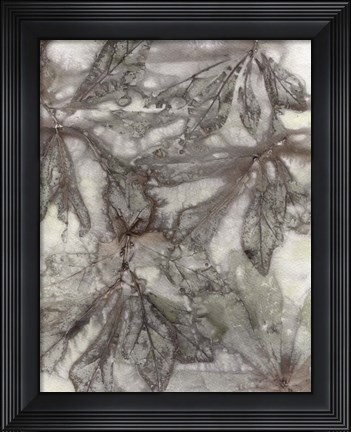 Framed Water Oak Leaves Print