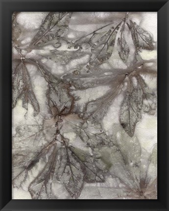 Framed Water Oak Leaves Print