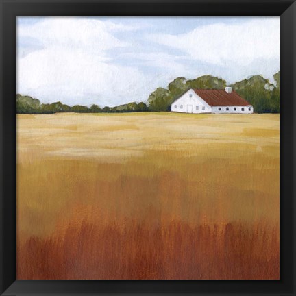 Framed Prairie Premise II Print