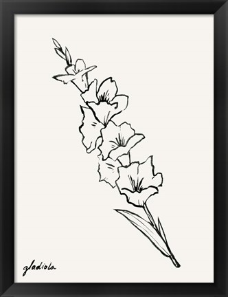 Framed Gladiola Sketch I Print
