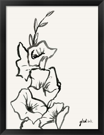 Framed Gladiola Sketch III Print