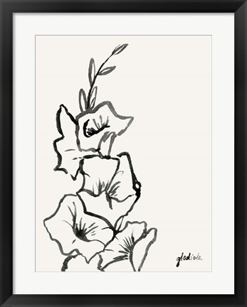 Framed Gladiola Sketch III Print