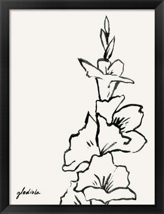 Framed Gladiola Sketch IV Print