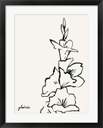 Framed Gladiola Sketch IV Print