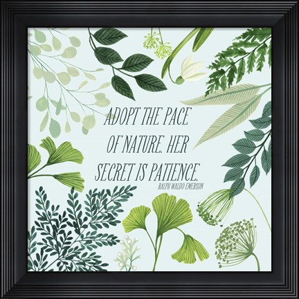 Framed Natural Bliss II Print