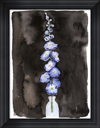 Framed Blue Delphinium II Print