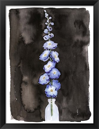 Framed Blue Delphinium II Print