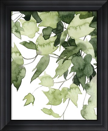 Framed Emerald Vines II Print