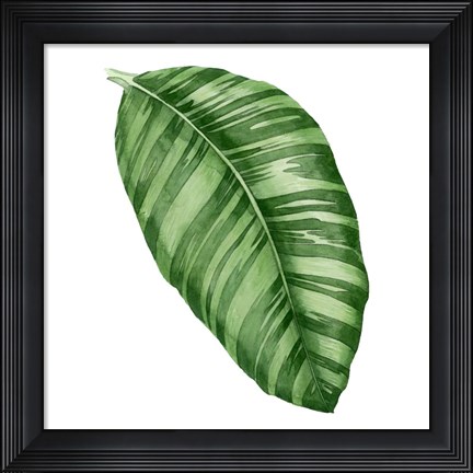 Framed Rainforest Jewel I Print