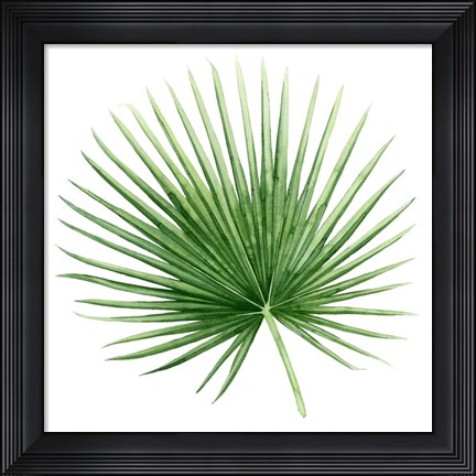 Framed Rainforest Jewel II Print