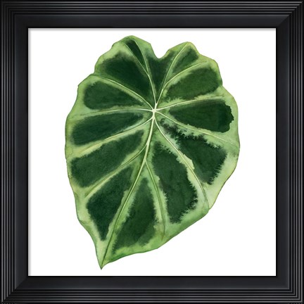 Framed Rainforest Jewel III Print