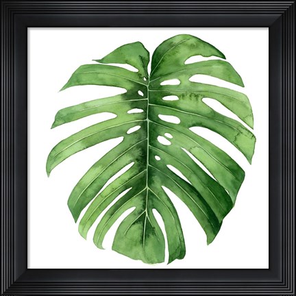 Framed Rainforest Jewel IV Print