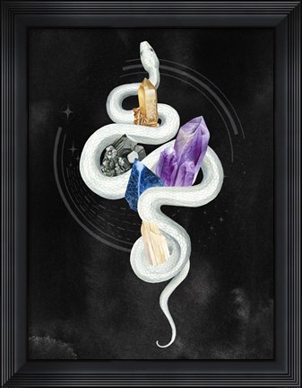 Framed Crystalline Serpent II Print