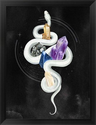 Framed Crystalline Serpent II Print