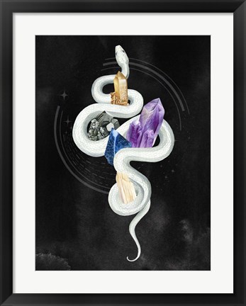 Framed Crystalline Serpent II Print