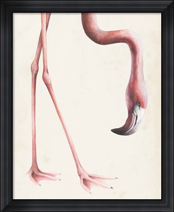 Framed At Your Feet I Print