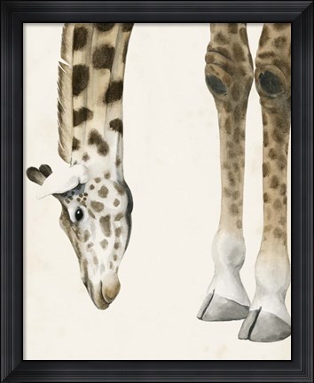 Framed At Your Feet II Print