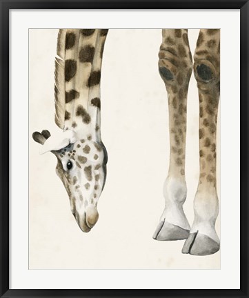 Framed At Your Feet II Print