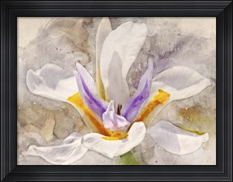 Framed Playful Petals I Print