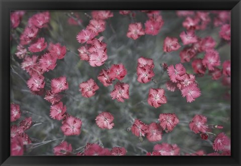 Framed Nature&#39;s Textures I Print