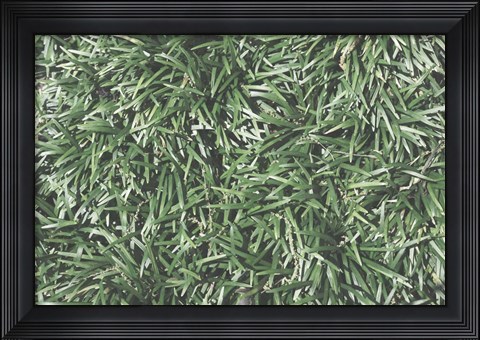 Framed Nature&#39;s Textures II Print