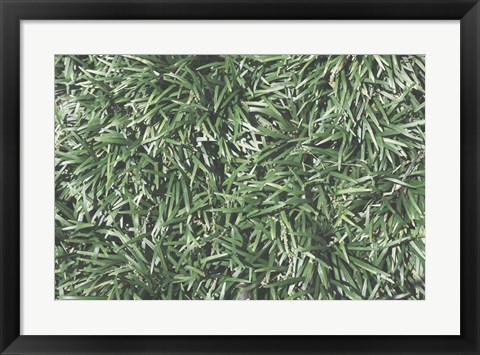 Framed Nature&#39;s Textures II Print